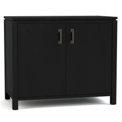 Dwyer Two-Door Cabinet