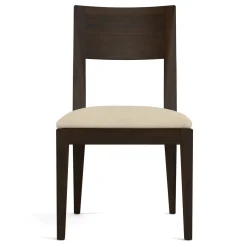 Dwyer Upholstered Side Chair